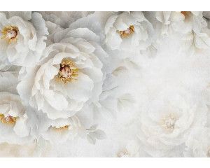 Fotobehang met weelderige witte pioenrozen in volle bloei, met zachte details en een subtiel kleurenpalet dat een elegante en serene sfeer creëert.
