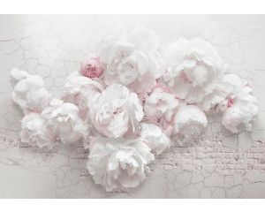 Fotobehang van witte pioenrozen op een bakstenen muur, met een vintage bloemenstijl.