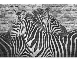Zebra schildering op een stenen muur, fotobehang dat dieren en kunst samenbrengt.