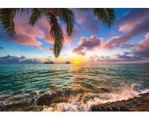 Zonsondergang boven de zee met een palmboom op de voorgrond, fotobehang dat een warme en ontspannen sfeer creëert.