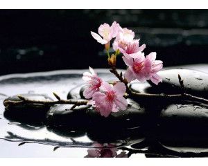 Fotobehang Zen Stenen en Kersenbloesem