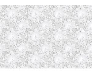 Zilveren bloemenpatroon, abstract en kunstzinnig fotobehang voor een moderne en elegante ruimte.