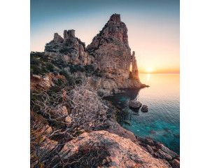 Zonlicht Sardinië fotobehang, met de zon die door de bomen straalt op Sardinië.