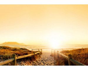 Fotobehang van een zonovergoten pad dat leidt naar een strand, omringd door duinen en natuurlijke vegetatie.