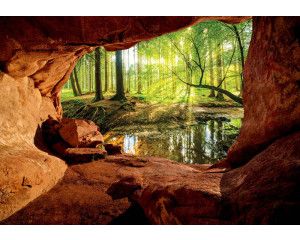 Fotobehang van een zonnig bos, gezien vanuit een grot met een serene en warme uitstraling.