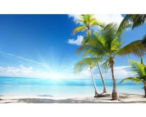 Zonnig strand met palmbomen en een felblauwe zee, met een heldere zon die warmte uitstraalt, fotobehang voor een exotische sfeer.