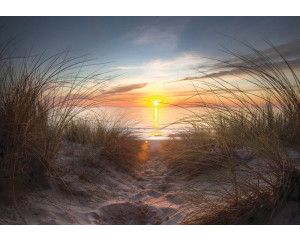 Dit fotobehang toont een adembenemende zonsondergang op het strand, met zicht op zee en duinen in warme tinten.