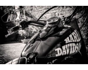 Harley Davidson motor afgebeeld op een stoer fotobehang.
