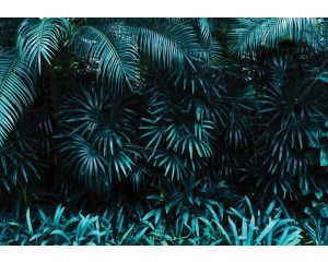 Jungle bladeren fotobehang, perfect voor junglekamers.