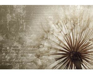 Paardenbloem fotobehang, natuurgetrouwe close-up van een paardenbloem.