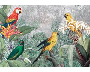 Papegaaien jungle fotobehang, kleurrijk en natuurgetrouw.