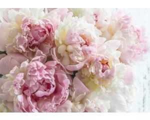 Roze pioenrozen behang, bloemen en rozen, elegant en verfijnd.