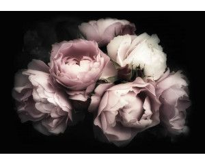 Rozen behang met een boeket van bloemen en pioenrozen, sfeervol en romantisch.