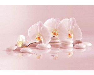 Spa-fotobehang met wellness thema, orchideeën en steentjes.
