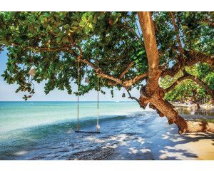 Fotobehang van een strand met een boomschommel aan zee, rustgevend uitzicht.