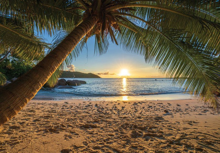 Fotobehang Tropisch Strandparadijs met Palmboom, Zonsondergang en Zee