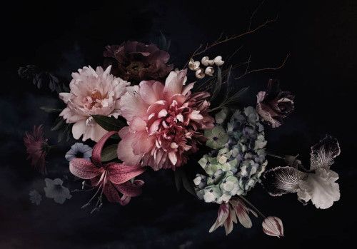 Boeket bloemen op een zwarte achtergrond met levendige kleuren en contrast, fotobehang dat elegantie en luxe uitstraalt.