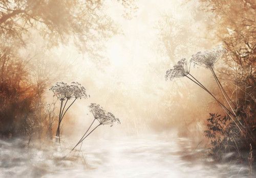 Fotobehang met een dromerig landschap vol mist en wildbloemen in warme retro kleuren.
