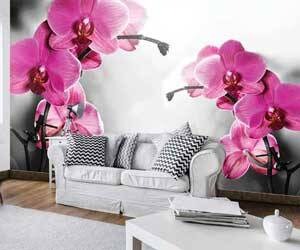 Orchideeën behang